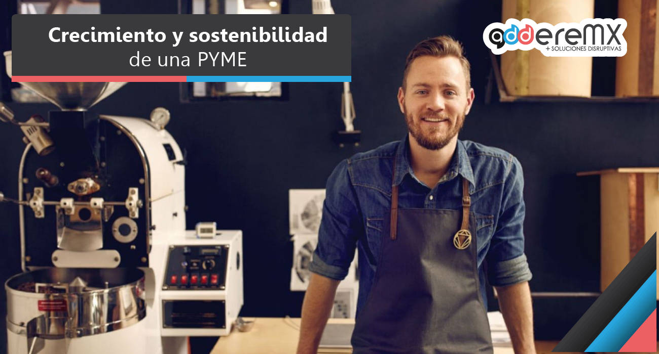 Crecimiento y Sostenibilidad de una PyME